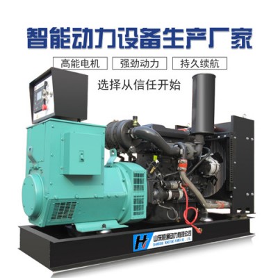 濰柴50kw發(fā)電機(jī)組